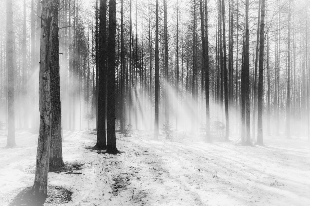 Photograph by Alexandr