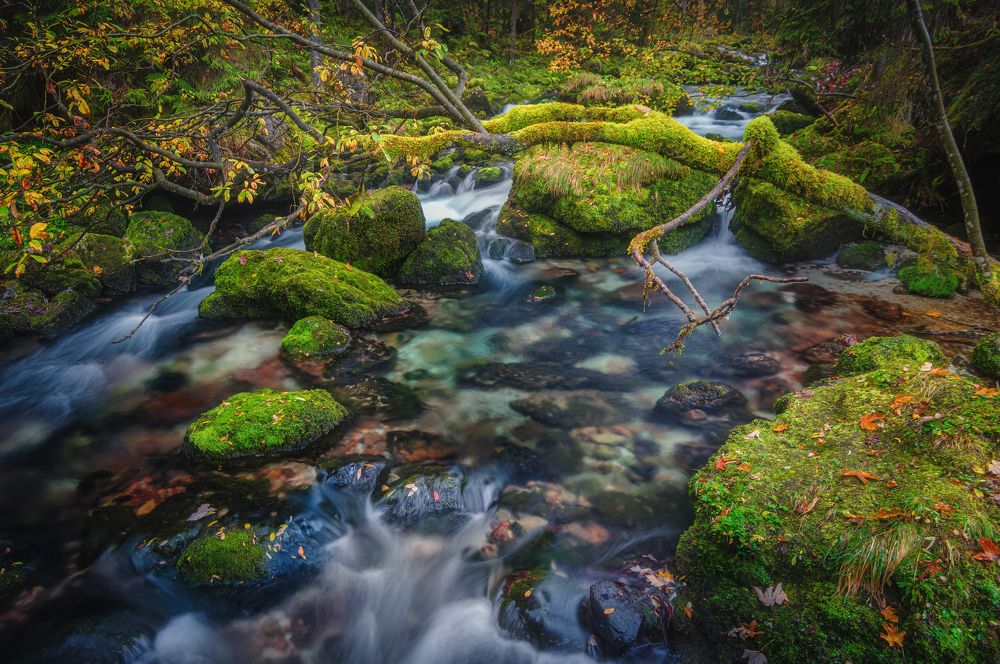 Photograph by Ожерельев Андрей