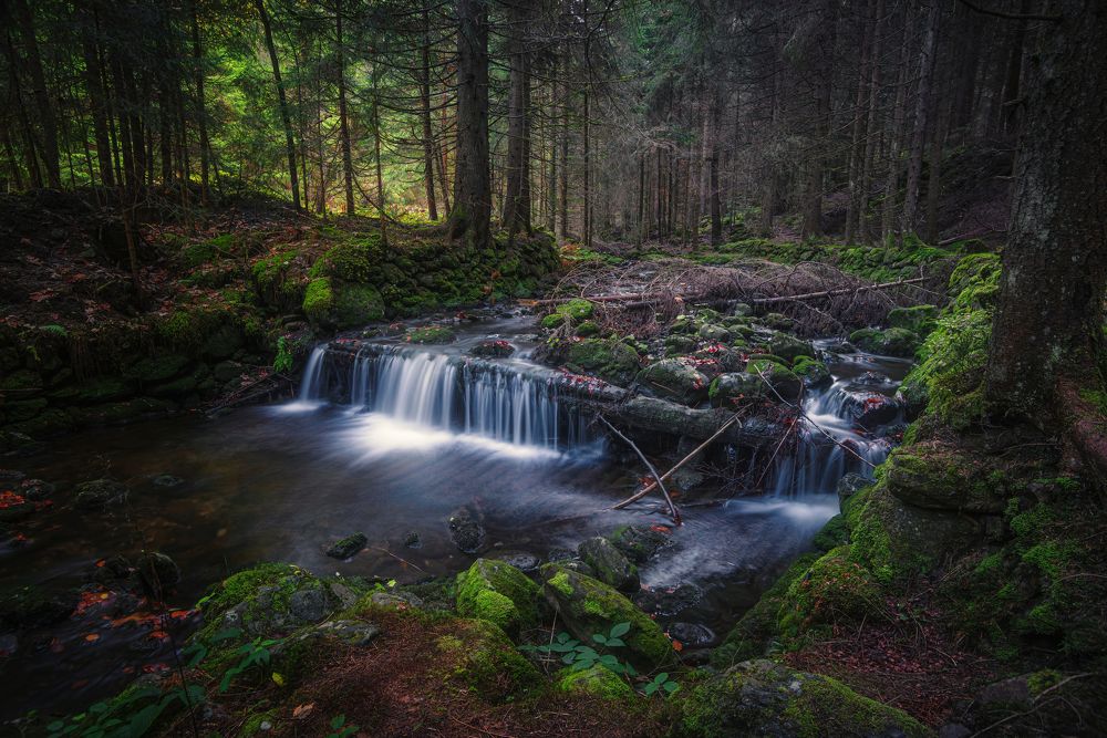 Photograph by Ожерельев Андрей