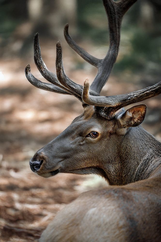 Photograph by Дмитрий Казачек