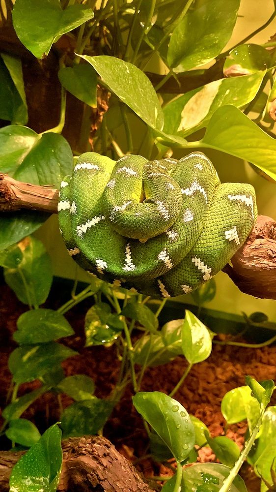 Photograph by claudia