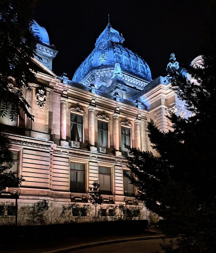 Фотография автора Елена Полякина