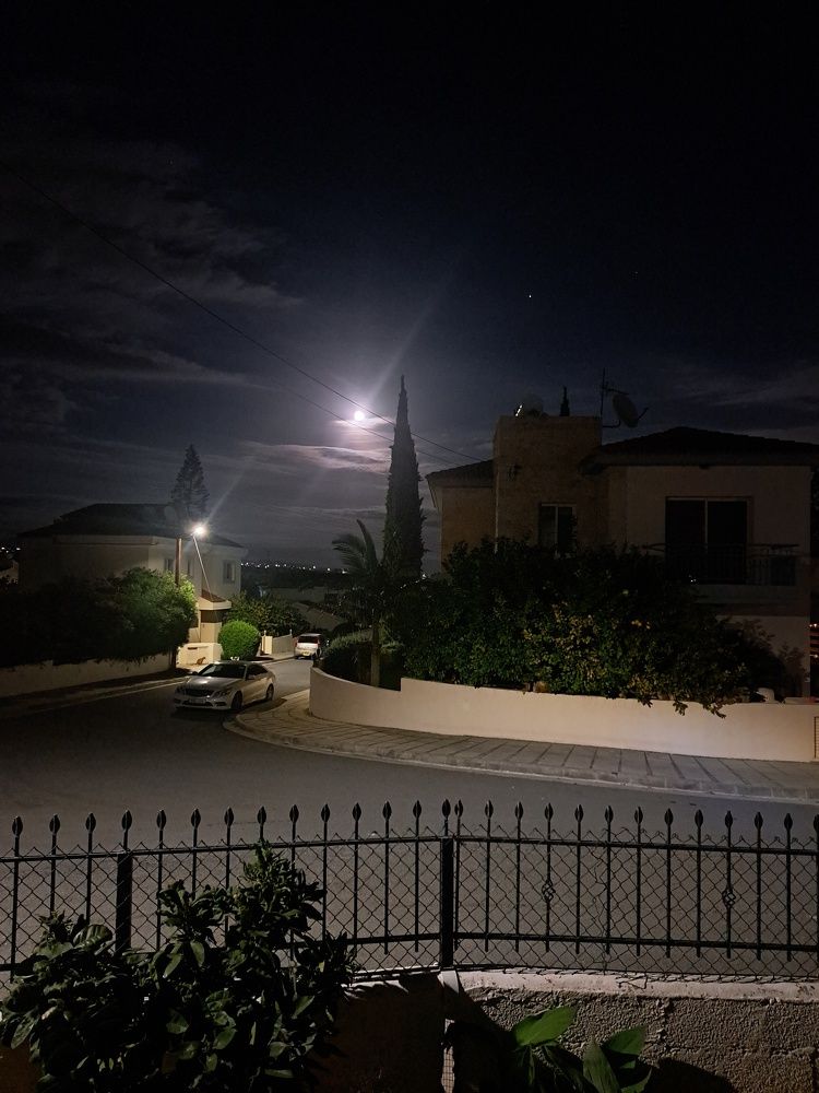 Фотография автора Елена Полякина