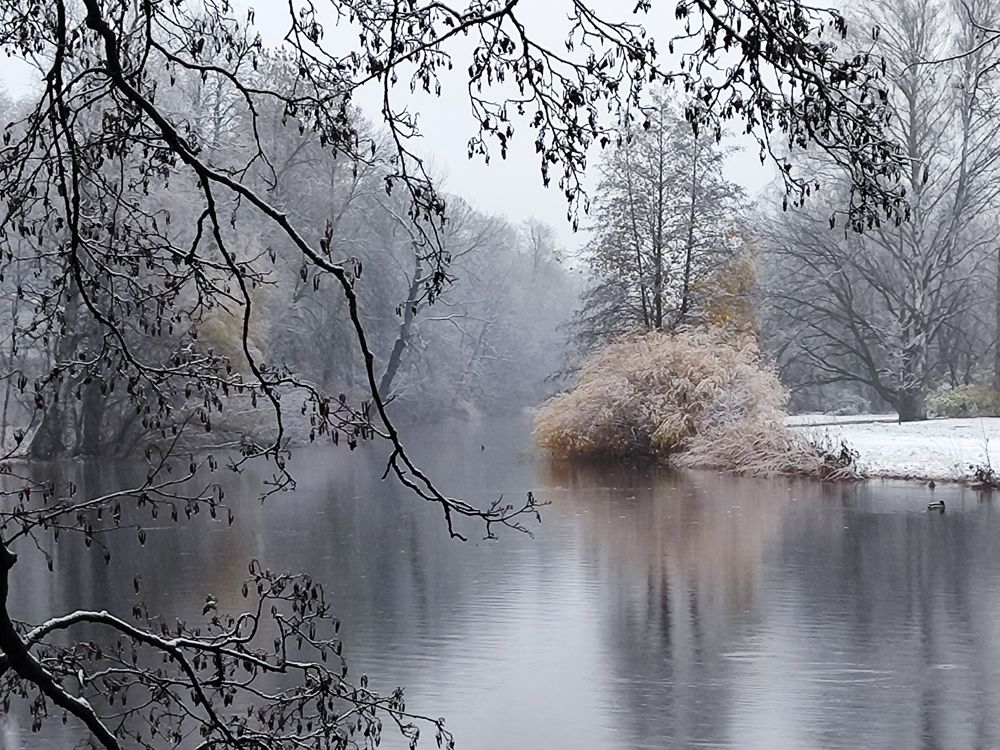 Photograph by Елена Белькова