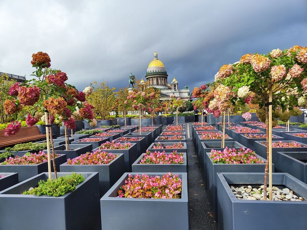 Photograph by Елена Белькова