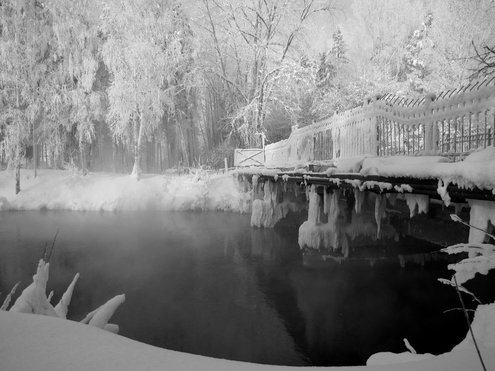 Photograph by Герасимов Игорь