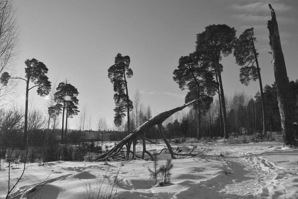 Photograph by Dimon Grinih