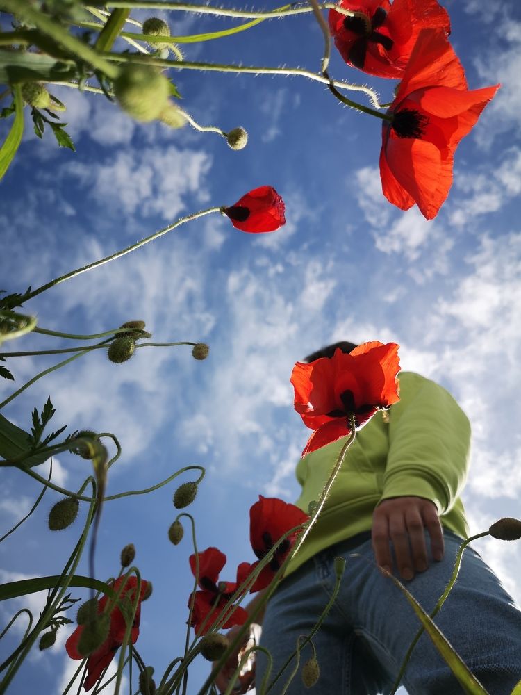 Photograph by Кристина