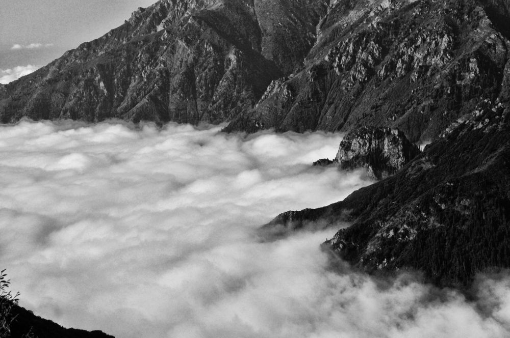 Photograph by Muzaffer Sütlüoğlu