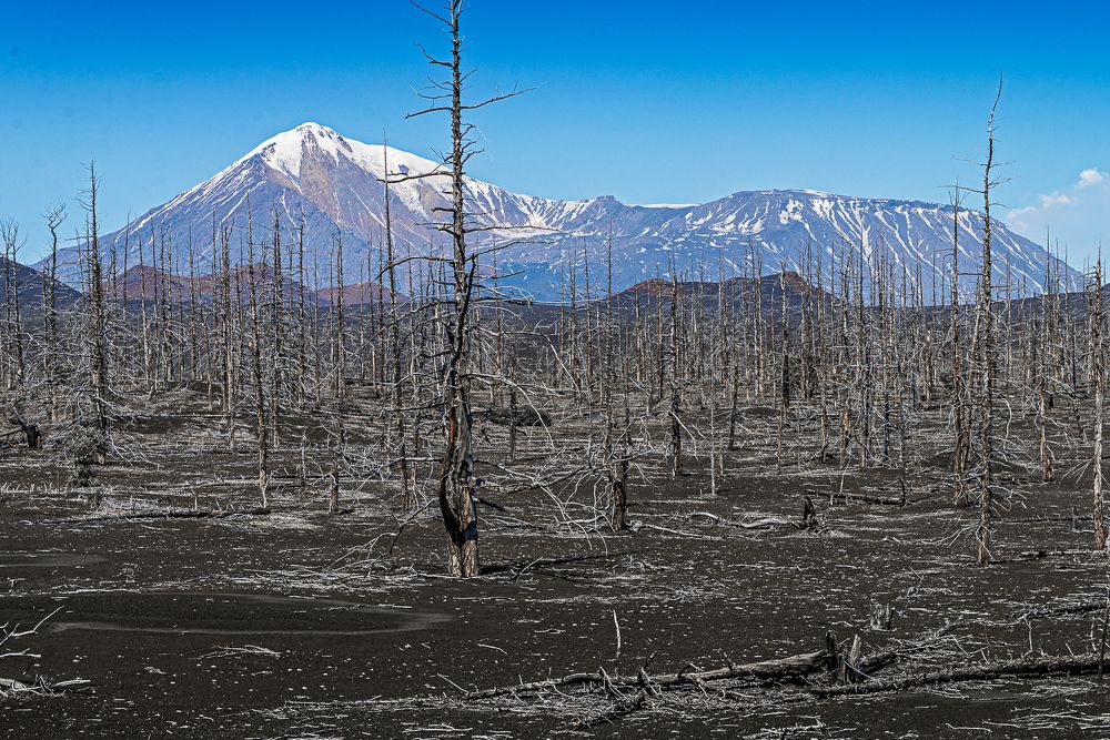 Photograph by Лактионов Анатолий