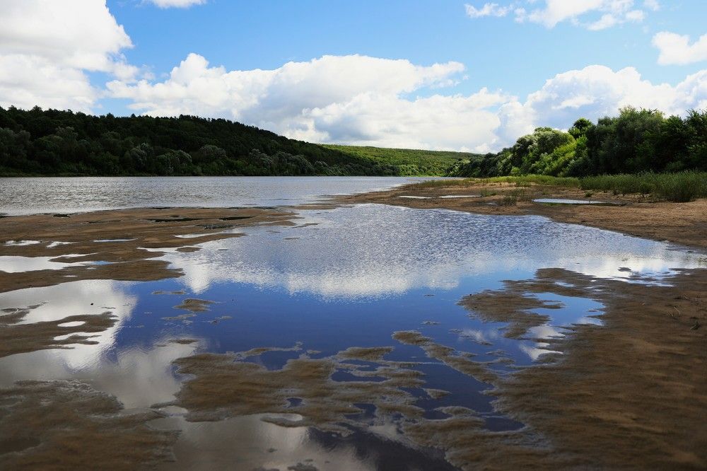 Photograph by Владимир Грибков