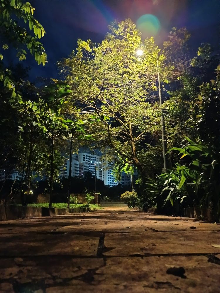 Alone