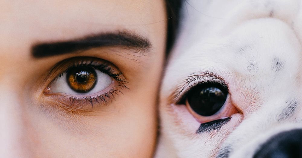 Photograph by Софья Евгеньевна