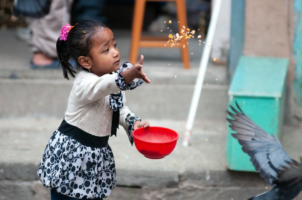 Фотография автора Сергей Сынтин
