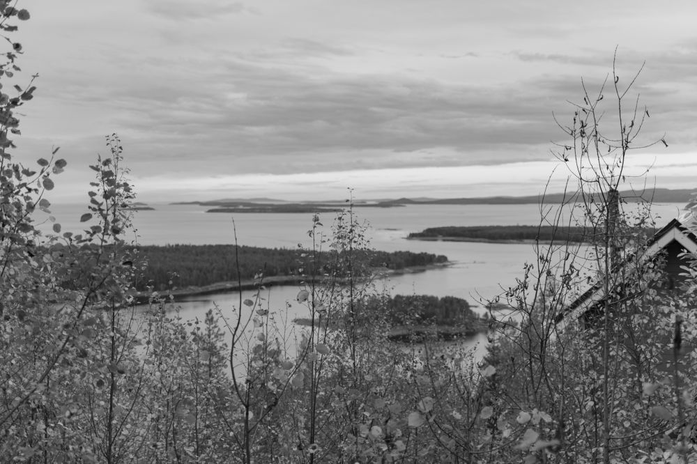 Photograph by Полина Артемина