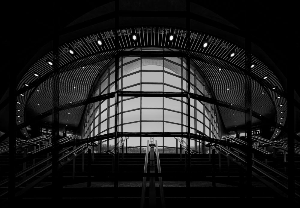 Фотография автора LI YAN DAI