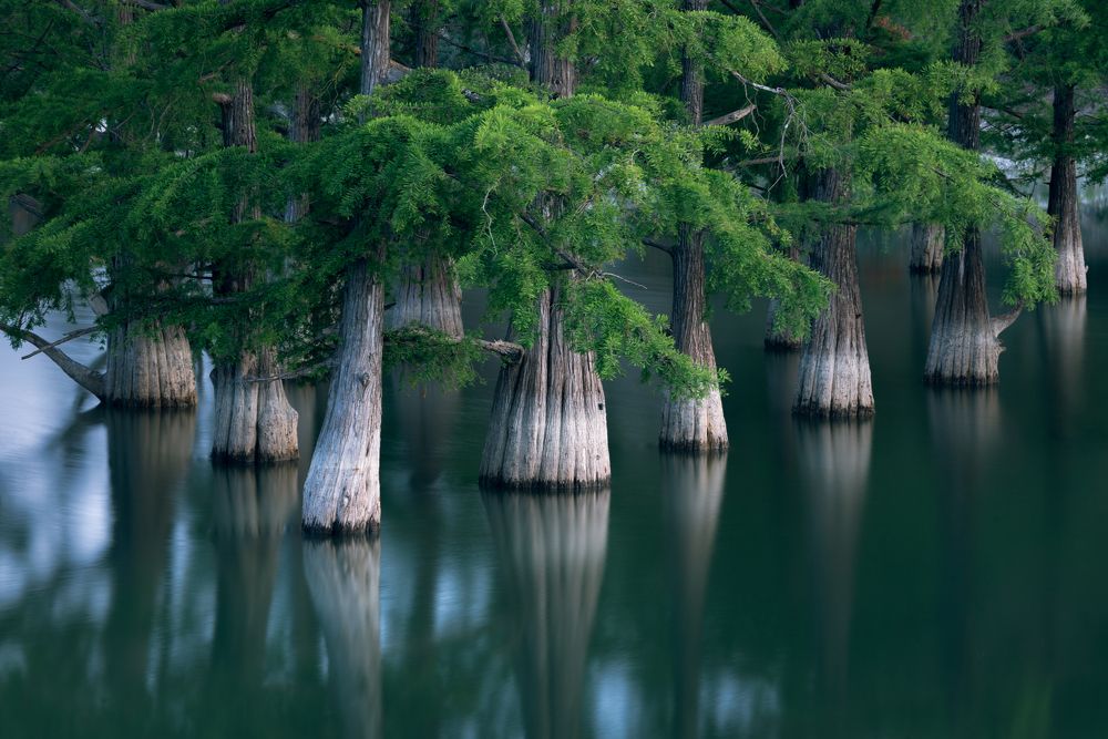 Photograph by Алексей Соколенко