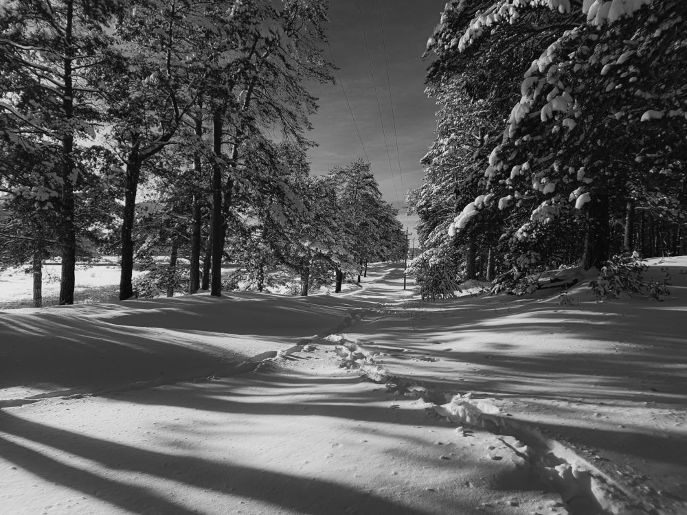 Photograph by Konstantin Martynov