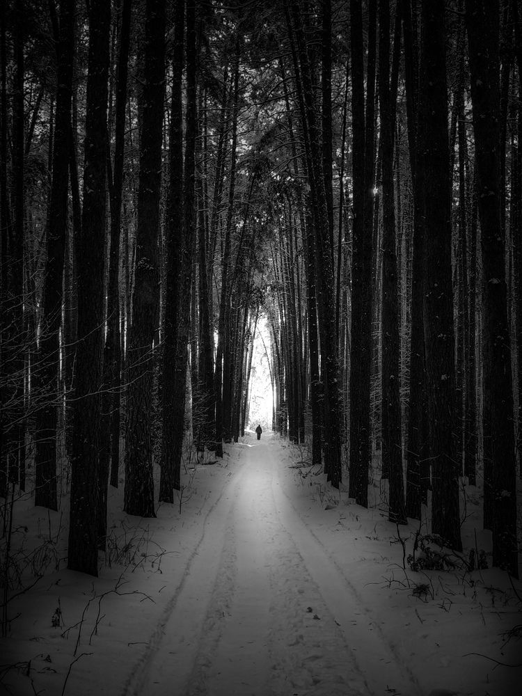 Photograph by Konstantin Martynov