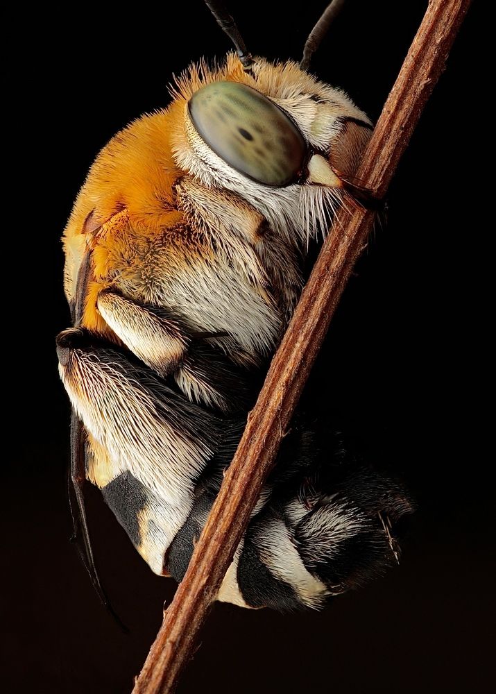 Фотография автора Edu salvador