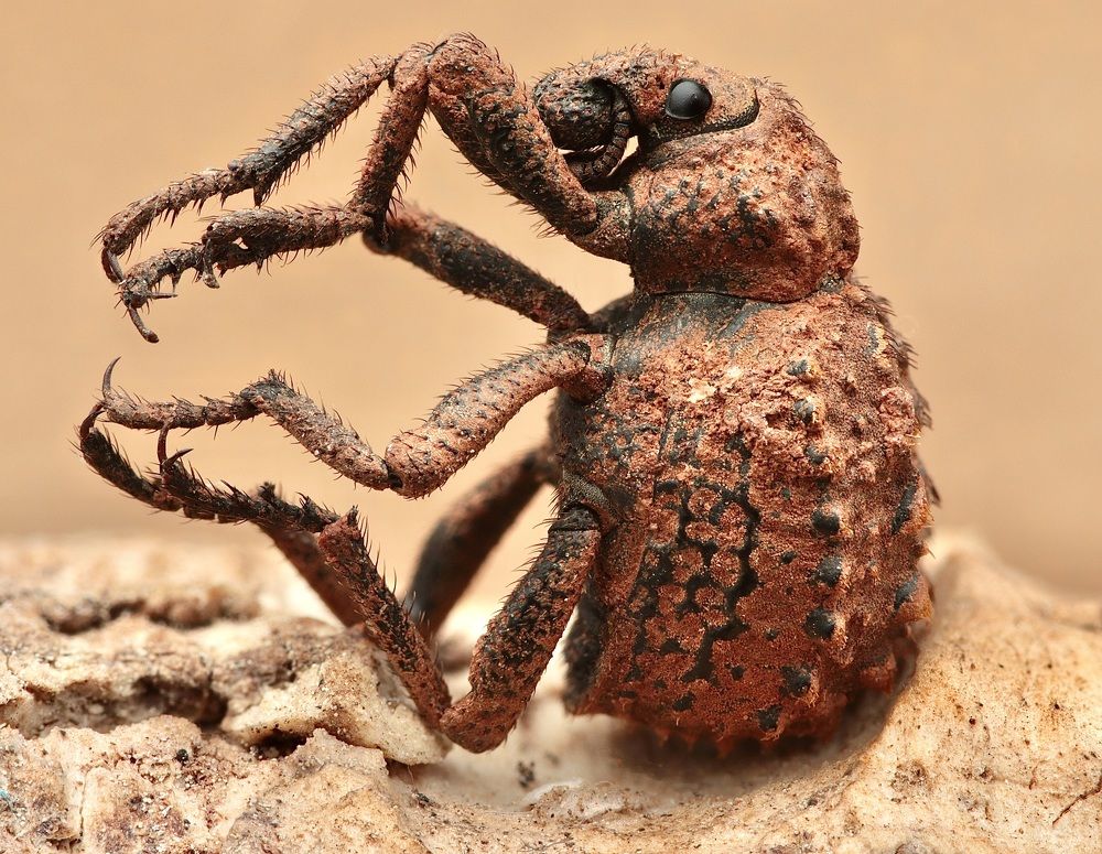 Фотография автора Edu salvador