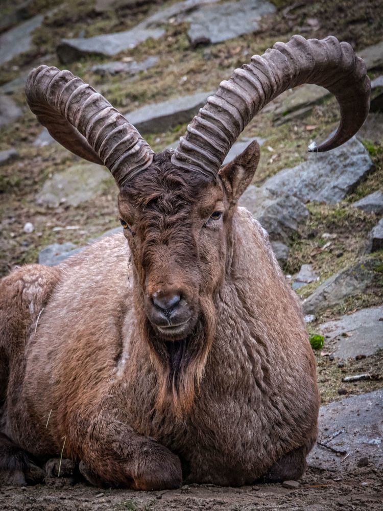 Photograph by Анастасия