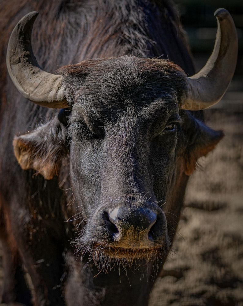 Photograph by Анастасия