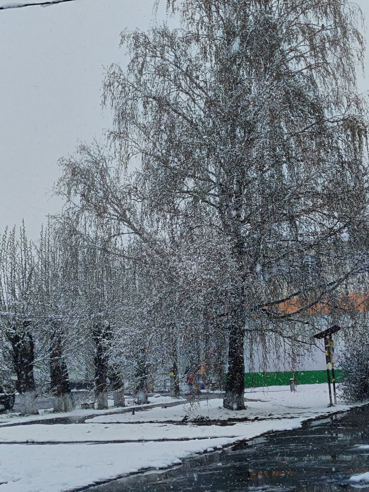 Photograph by Мария Культикова