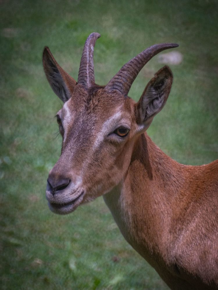 Photograph by Анастасия