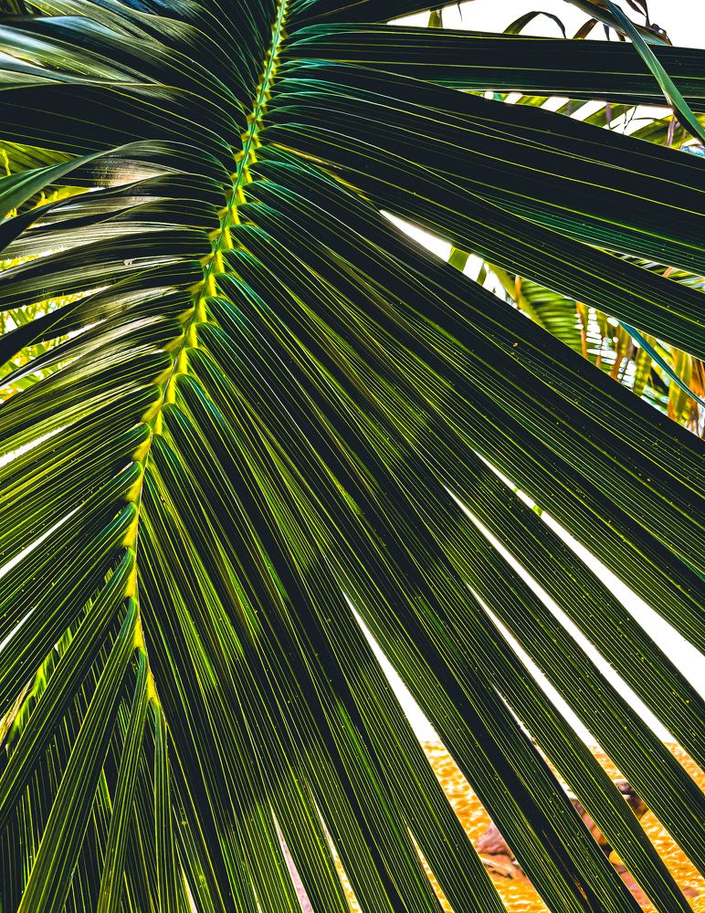 Photograph by Максим Зенкевич