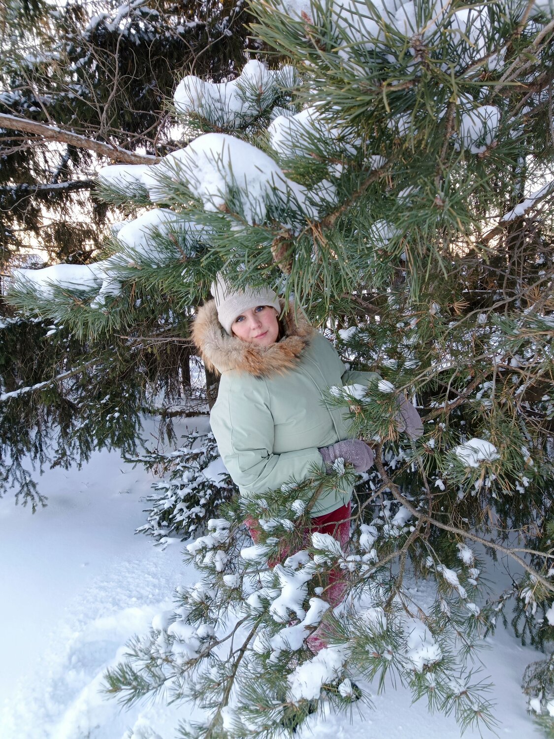 Photo #11545502
