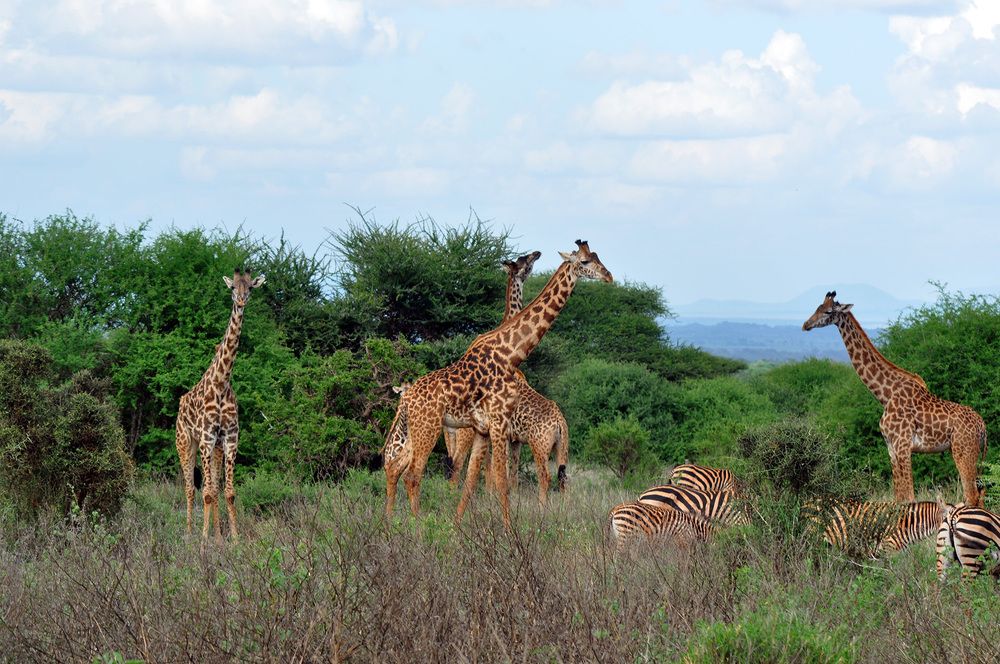 Фотография автора Наталья Липовская