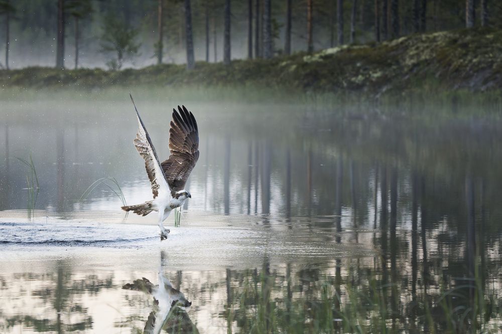 Photograph by Jørgen Hovde