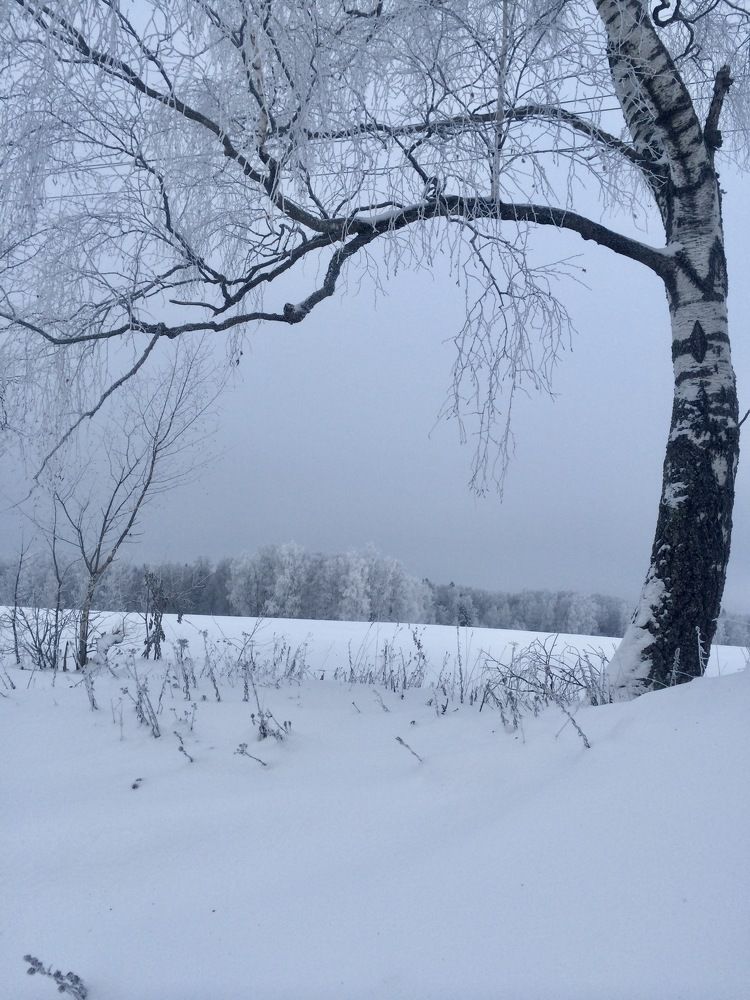 Photograph by Ирина Швейнова