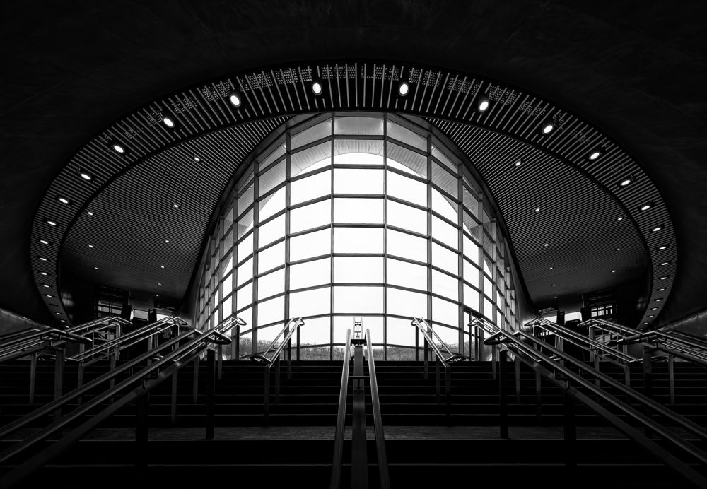 Фотография автора LI YAN DAI