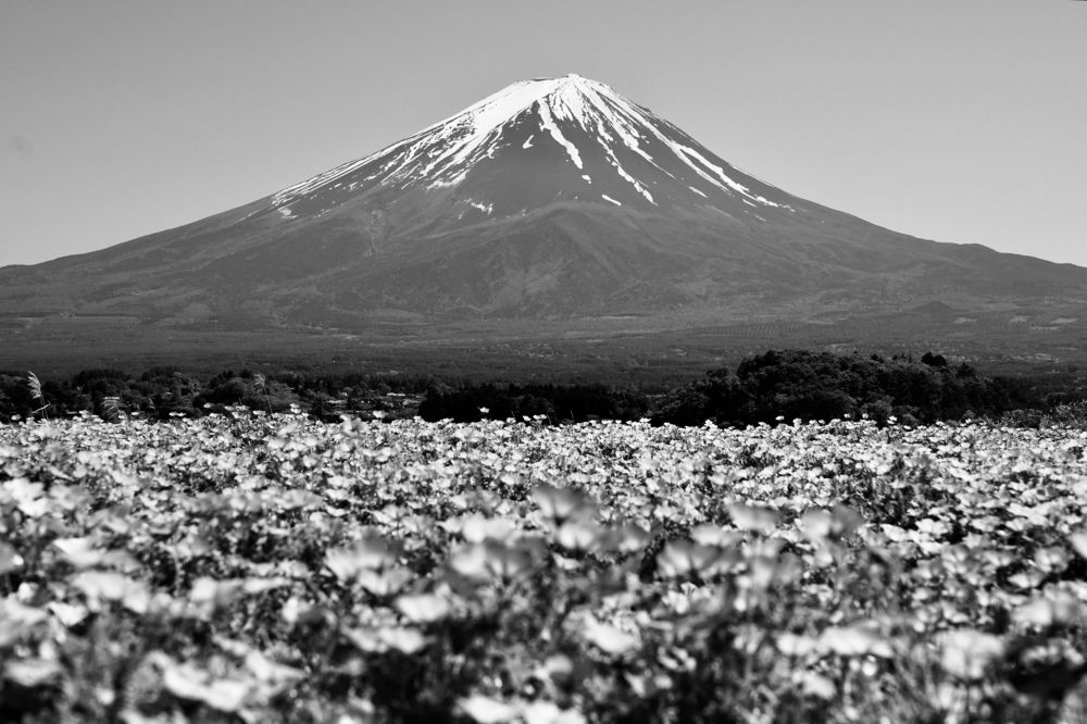 Фотография автора Liudmila Kiermeier