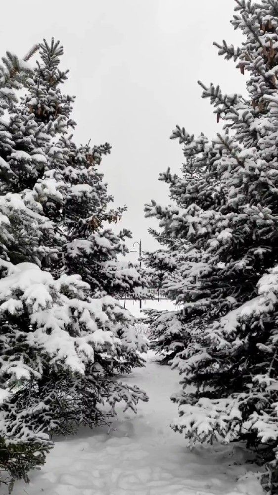 Фотография автора Марина Алексеевская