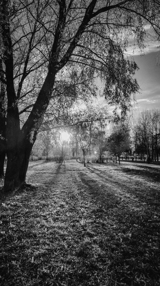 Фотография автора Марина Алексеевская