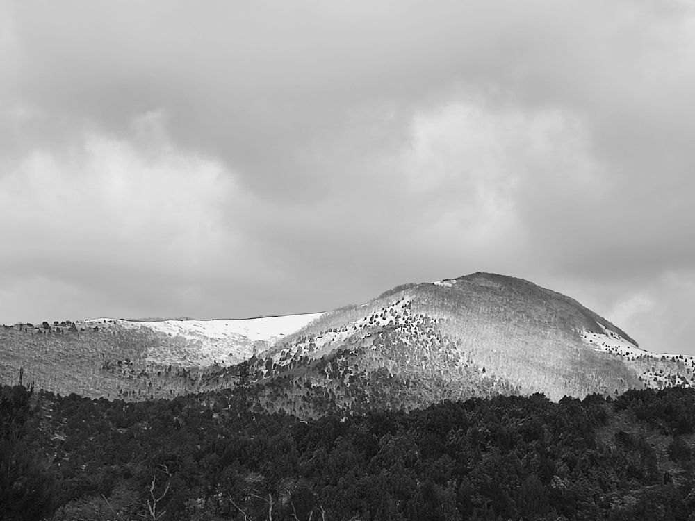 Photograph by Татьяна Долгушева