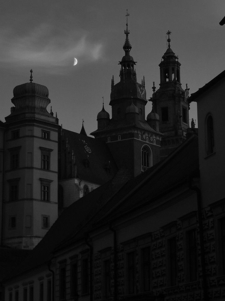 Photograph by Paulina Michałowska