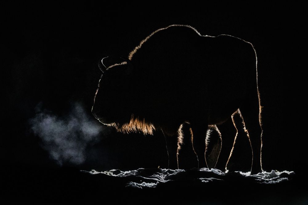 Фотография автора Evgeny S.