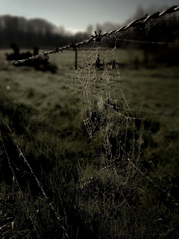 Фотография автора Alexandra Kazakova