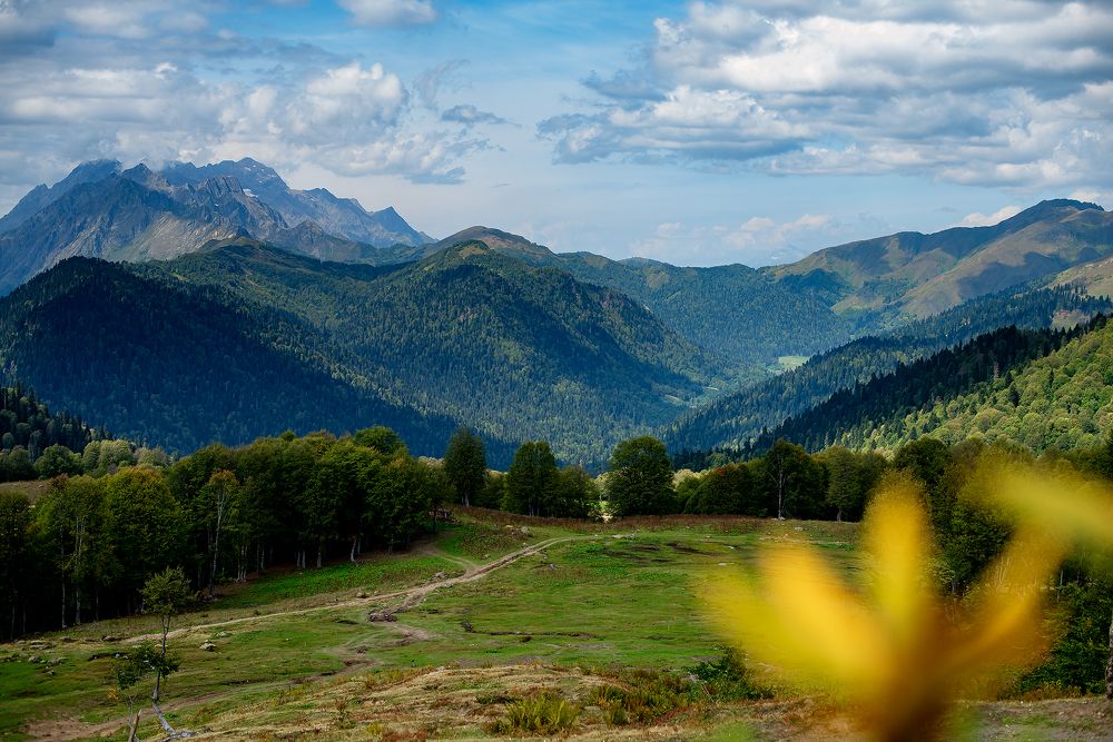 Фотография автора Маргарита Матвеенкова
