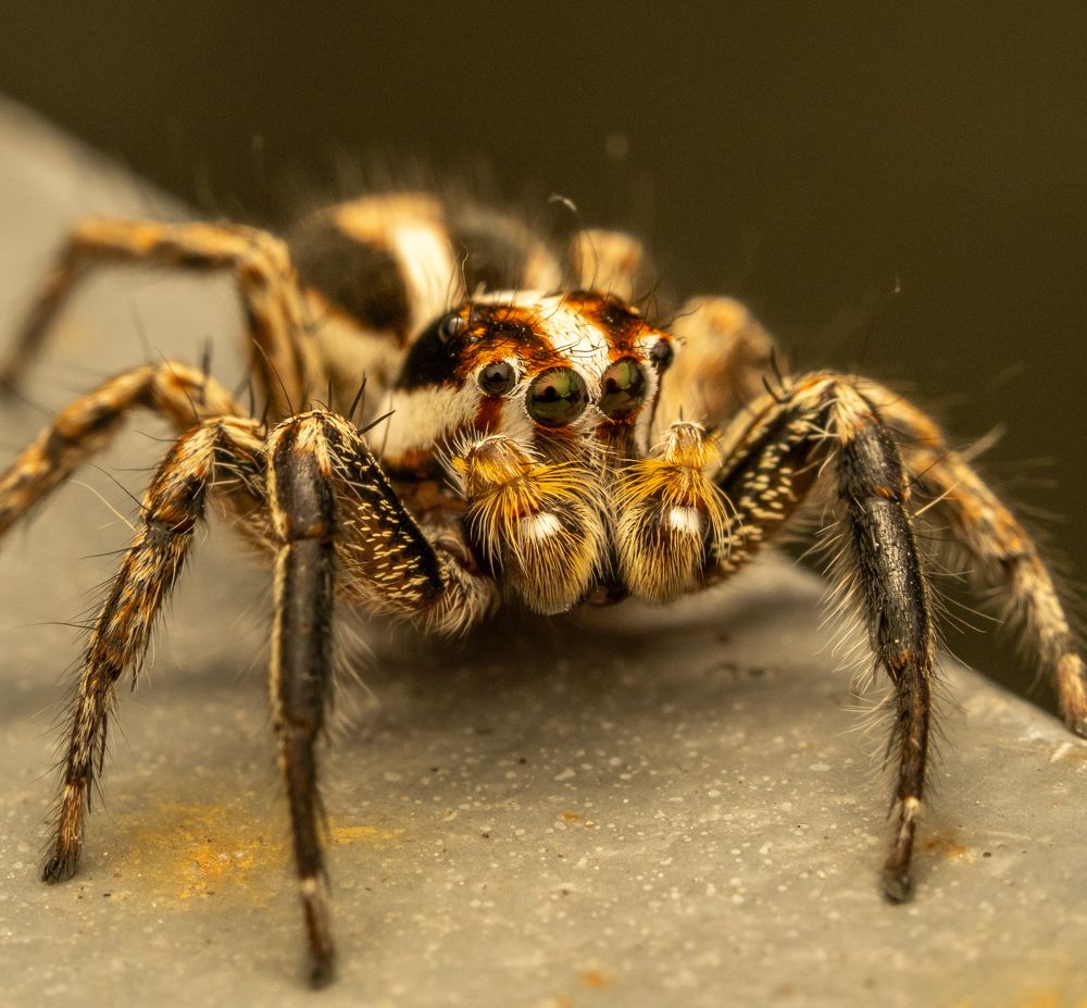 Фотография автора Sercan Özyurt