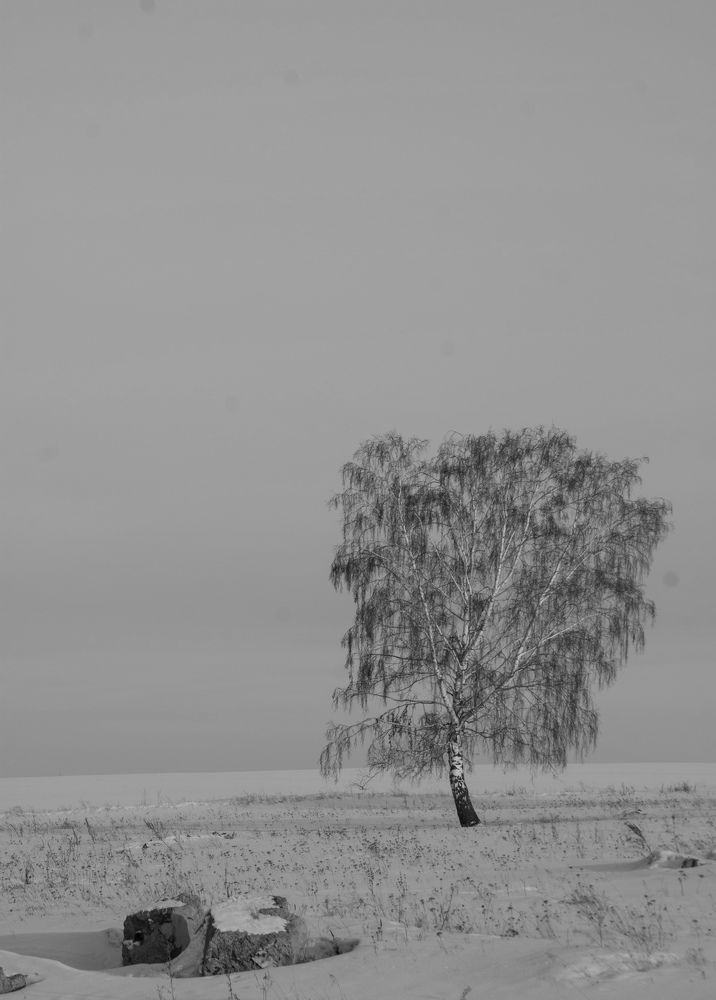 Photograph by Дубровин Николай