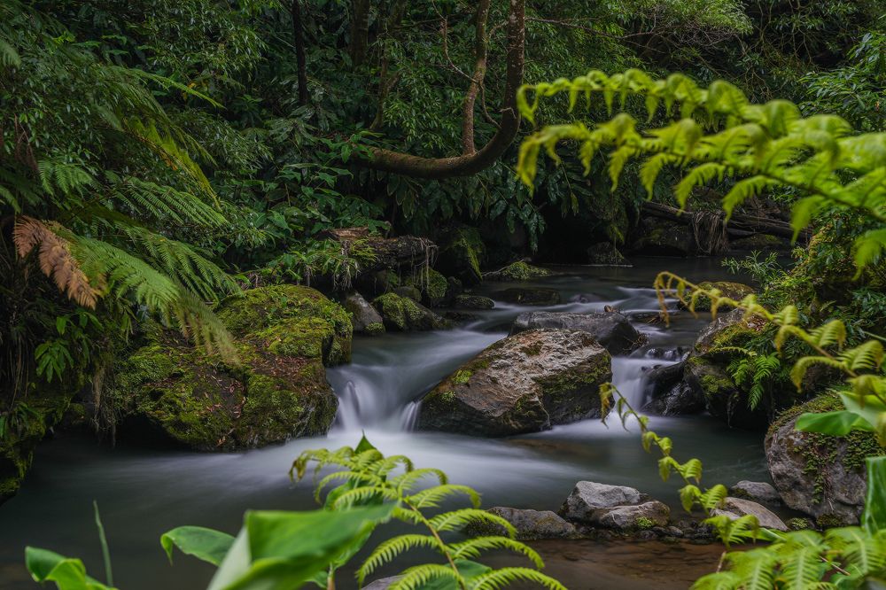Фотография автора Jian Ma