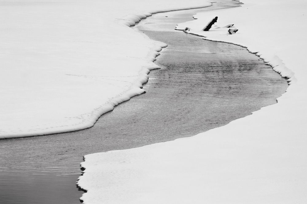 Photograph by Юлия Фомина