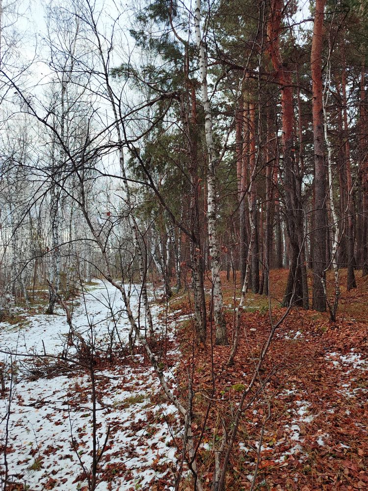 Photograph by Валерия Кобзарева
