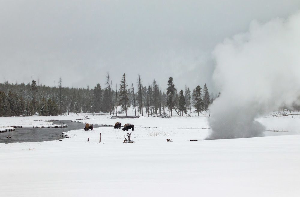 Photograph by Анатолий Костерев