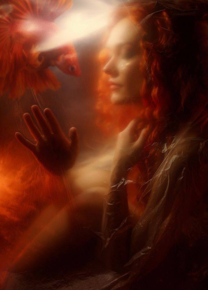 Photograph by Ерастов Андрей